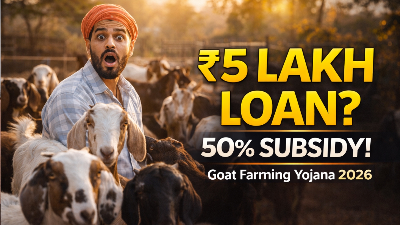 Goat Farming Loan Yojana 2026: ₹50,000 से ₹5 लाख लोन + 50% सब्सिडी, आज ही आवेदन करें! 1 Goat Farming Loan Yojana 2026: ₹50,000 से ₹5 लाख लोन + 50% सब्सिडी, आज ही आवेदन करें!